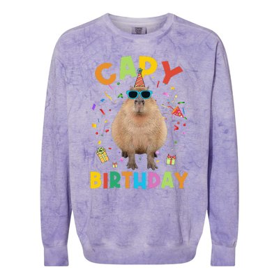 Capy Birthday Funny Capybara Animals Birthday Colorblast Crewneck Sweatshirt