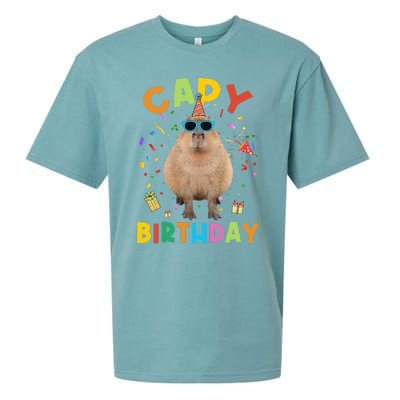 Capy Birthday Funny Capybara Animals Birthday Sueded Cloud Jersey T-Shirt