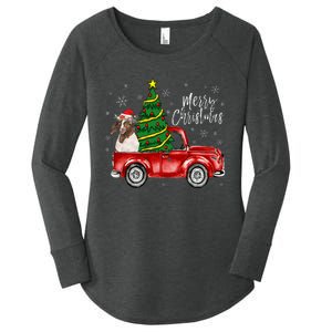 Cute Boer Goat Dog Truck Merry Christmas Goat Lover Xmas Women's Perfect Tri Tunic Long Sleeve Shirt