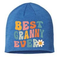 Cute Best Granny Ever Mothers Day Mom Grandma Gift Sustainable Beanie