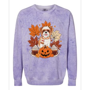 Cute Brussels Griffon Dog Cozy Scarf Autumn Halloween Coffee Colorblast Crewneck Sweatshirt