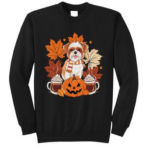 Cute Brussels Griffon Dog Cozy Scarf Autumn Halloween Coffee Sweatshirt