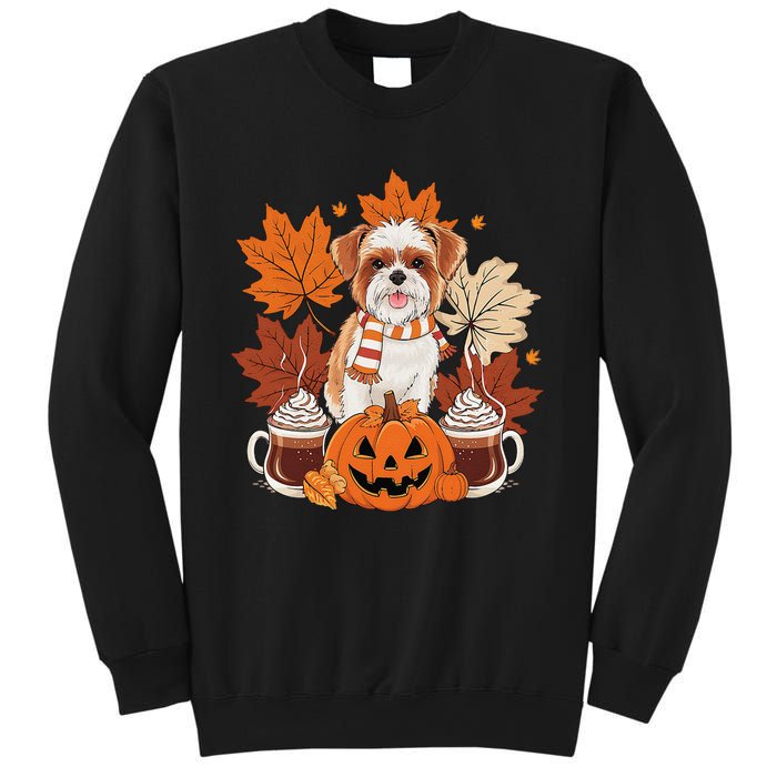 Cute Brussels Griffon Dog Cozy Scarf Autumn Halloween Coffee Sweatshirt