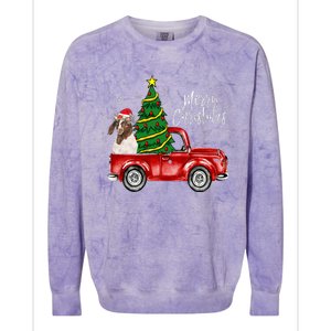 Cute Boer Goat Dog Truck Merry Christmas Goat Lover Xmas Colorblast Crewneck Sweatshirt