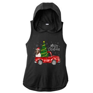 Cute Boer Goat Dog Truck Merry Christmas Goat Lover Xmas Ladies PosiCharge Tri-Blend Wicking Draft Hoodie Tank