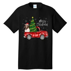 Cute Boer Goat Dog Truck Merry Christmas Goat Lover Xmas Tall T-Shirt