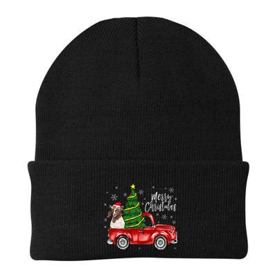 Cute Boer Goat Dog Truck Merry Christmas Goat Lover Xmas Beanie