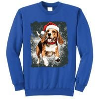 Christmas Beagle Gift Tall Sweatshirt