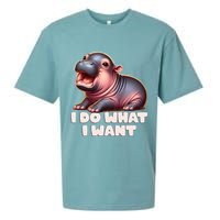 Cute Baby Hippo Moo Deng I Do What I Want Sueded Cloud Jersey T-Shirt