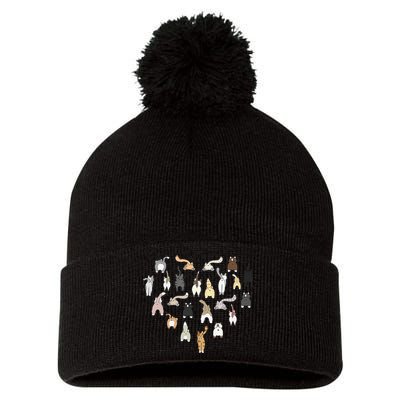 Cat Butt Heart Pom Pom 12in Knit Beanie