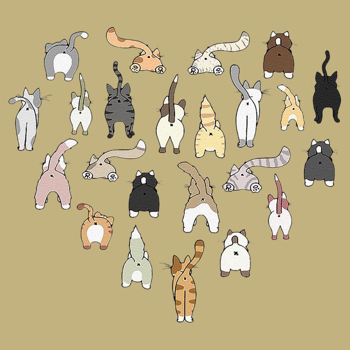 Cat Butt Heart Cooling Performance Crew T-Shirt