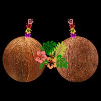 Coconut Bra Hawaii Luau Costume Funny Zip Tote Bag