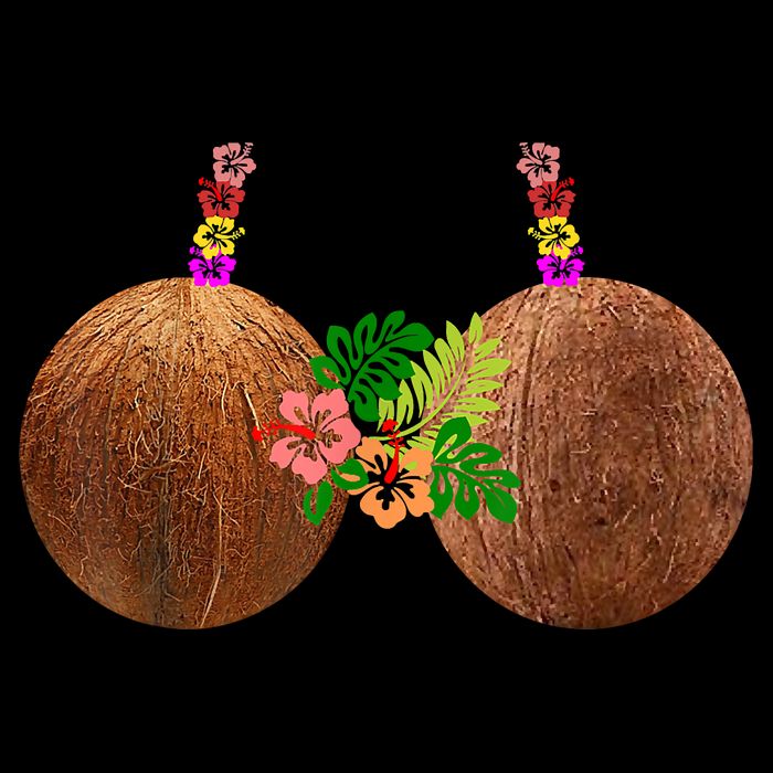 Coconut Bra Hawaii Luau Costume Funny Zip Tote Bag
