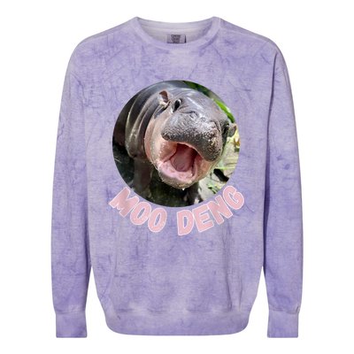 Cute Baby Hippo Moo Deng Bouncy Pig In Thai Hippopotamus Colorblast Crewneck Sweatshirt