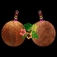 Coconut Bra Hawaii Luau Costume Funny City Backpack