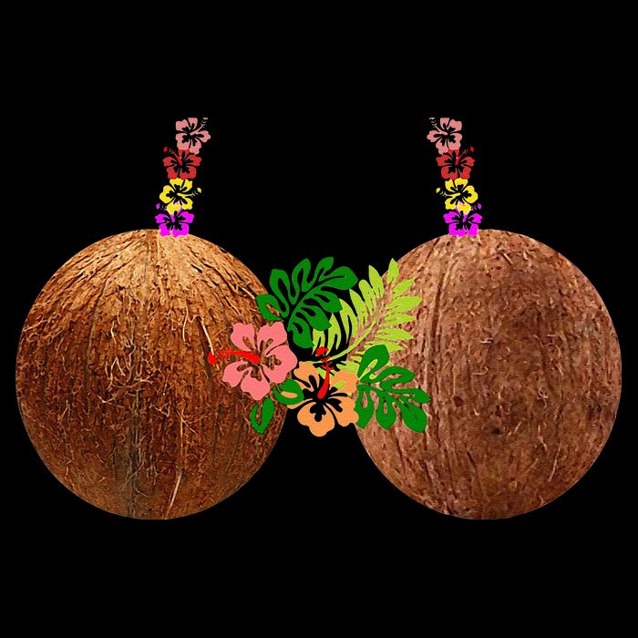 Coconut Bra Hawaii Luau Costume Funny City Backpack