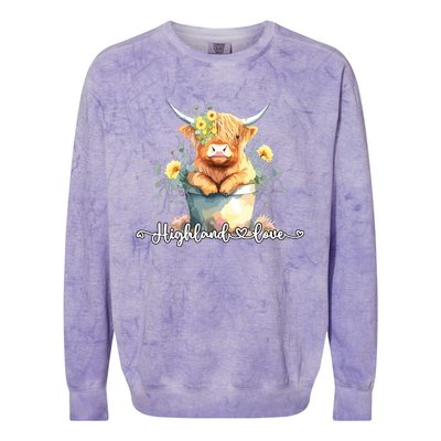 Cute Baby Highland Cow Calf Highland Love Spring Pastel Colorblast Crewneck Sweatshirt