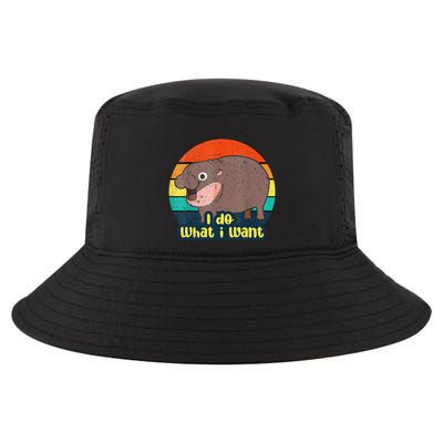 Cute Baby Hippo Moo Deng I Do What I Want Vintage Matching Cool Comfort Performance Bucket Hat