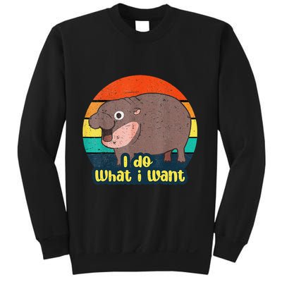 Cute Baby Hippo Moo Deng I Do What I Want Vintage Matching Sweatshirt