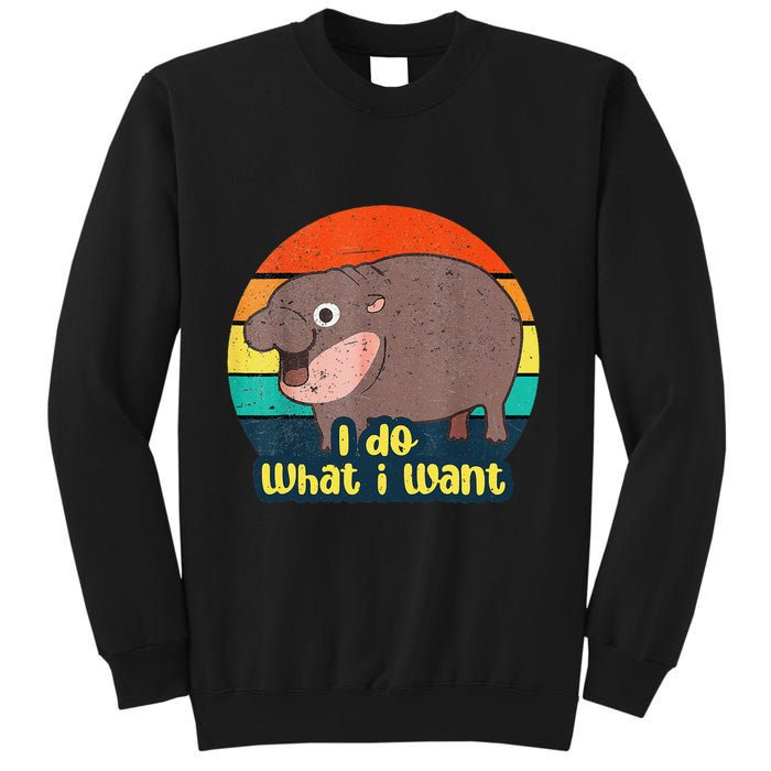 Cute Baby Hippo Moo Deng I Do What I Want Vintage Matching Sweatshirt