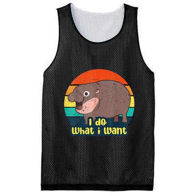 Cute Baby Hippo Moo Deng I Do What I Want Vintage Matching Mesh Reversible Basketball Jersey Tank