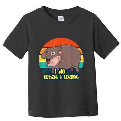 Cute Baby Hippo Moo Deng I Do What I Want Vintage Matching Toddler T-Shirt