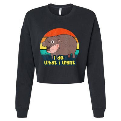 Cute Baby Hippo Moo Deng I Do What I Want Vintage Matching Cropped Pullover Crew