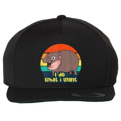 Cute Baby Hippo Moo Deng I Do What I Want Vintage Matching Wool Snapback Cap