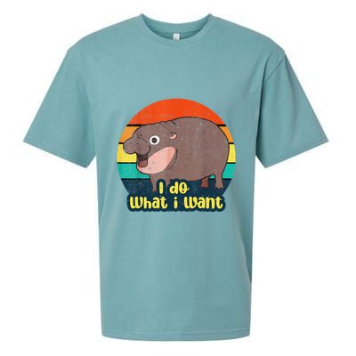 Cute Baby Hippo Moo Deng I Do What I Want Vintage Matching Sueded Cloud Jersey T-Shirt