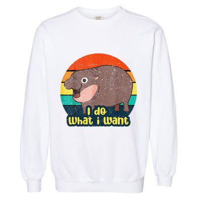 Cute Baby Hippo Moo Deng I Do What I Want Vintage Matching Garment-Dyed Sweatshirt