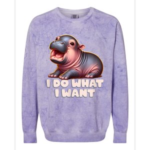 Cute Baby Hippo Moo Deng I Do What I Want Colorblast Crewneck Sweatshirt