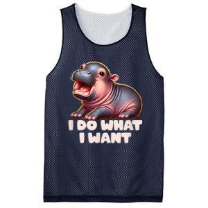 Cute Baby Hippo Moo Deng I Do What I Want Mesh Reversible Basketball Jersey Tank