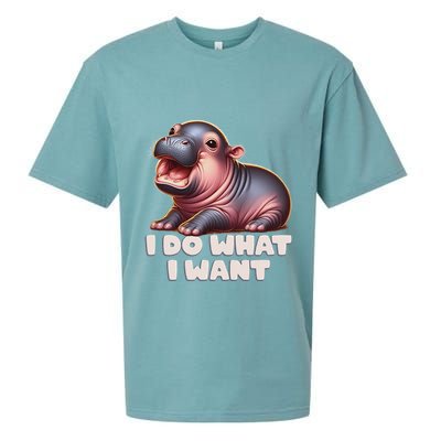 Cute Baby Hippo Moo Deng I Do What I Want Sueded Cloud Jersey T-Shirt
