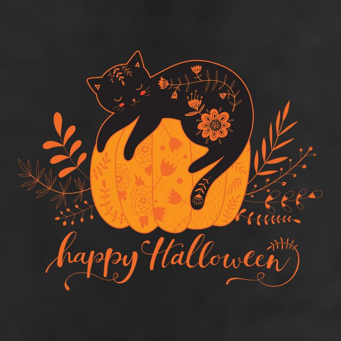 Cute Boho Halloween Black Cat Fall Pumpkin Adult Drive Performance Visor