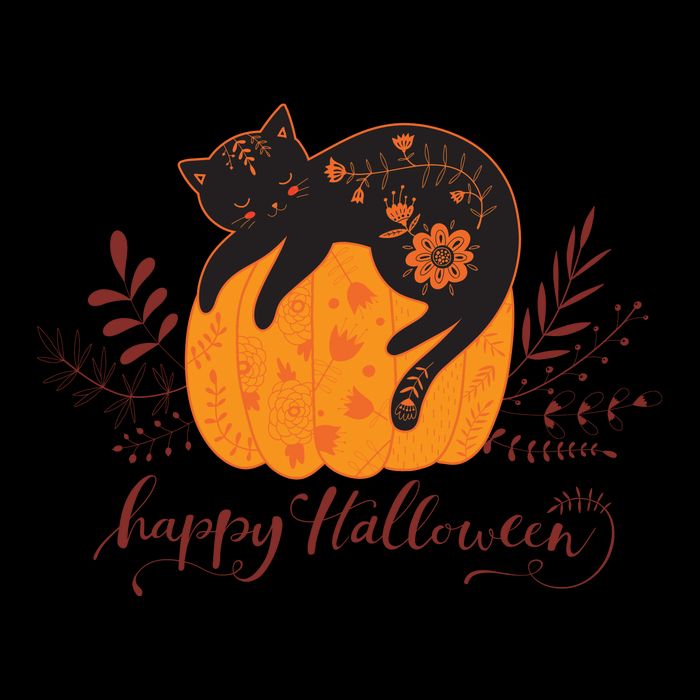Cute Boho Halloween Black Cat Fall Pumpkin Mug