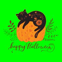 Cute Boho Halloween Black Cat Fall Pumpkin Long Sleeve Shirt
