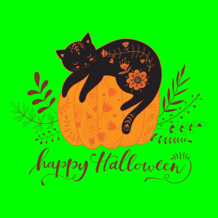 Cute Boho Halloween Black Cat Fall Pumpkin Long Sleeve Shirt