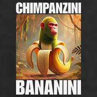 Chimpanzini Bananini - Italian Brainrot Meme Gift Beanie