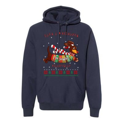 Cute Be Joyful Santa Dachshund Lovers Weiner Dog Premium Hoodie