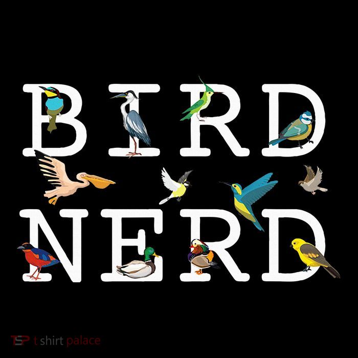 Cool Bird Lover Birdwatching Present Birdwatcher Birder Tall T-Shirt