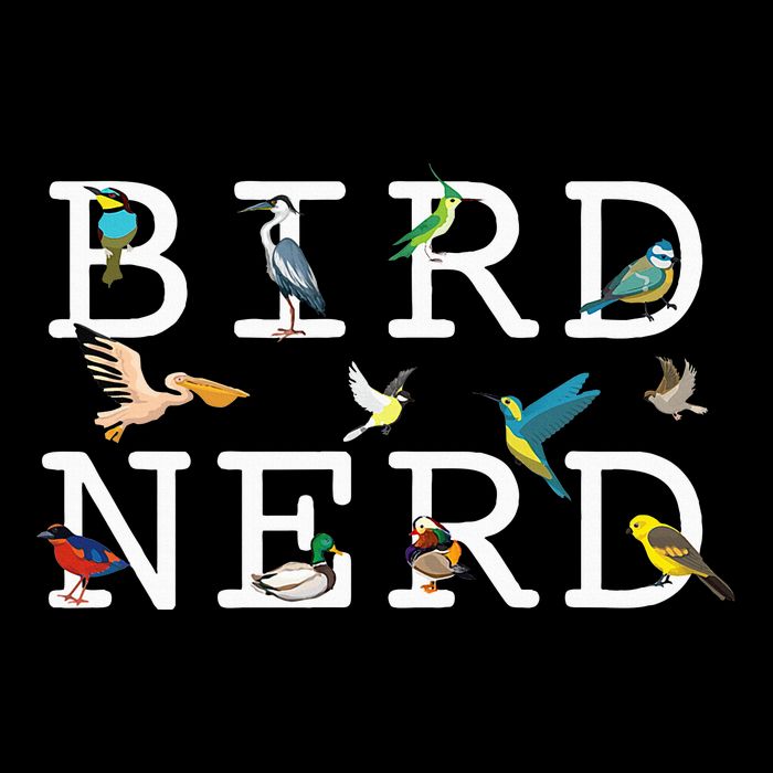 Cool Bird Lover Birdwatching Present Birdwatcher Birder Button