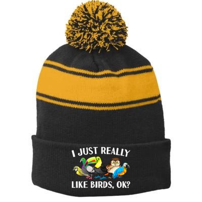Cool Bird Lover Bird Watcher Nerd Parrot Birds Stripe Pom Pom Beanie