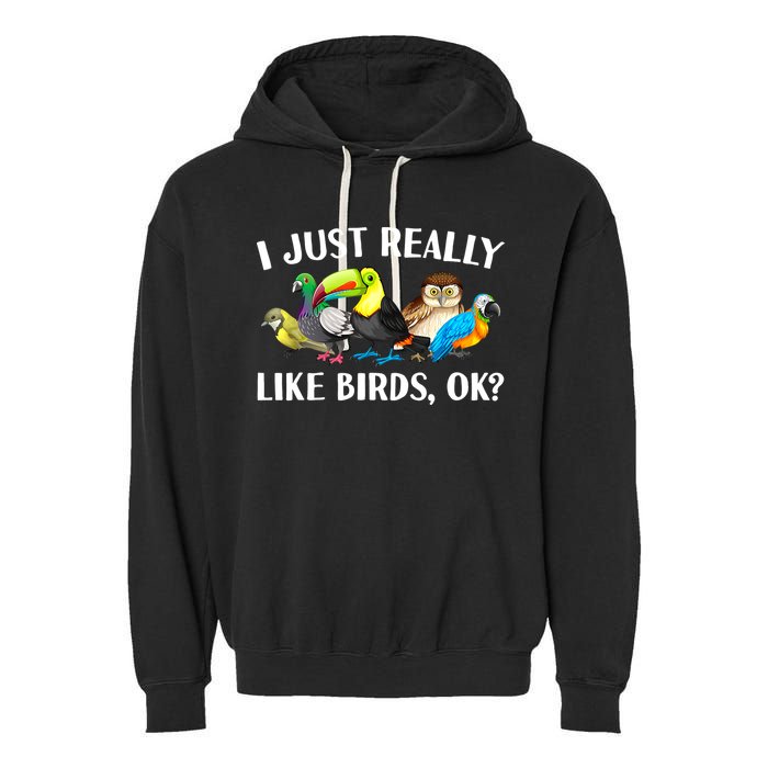 Cool Bird Lover Bird Watcher Nerd Parrot Birds Garment-Dyed Fleece Hoodie