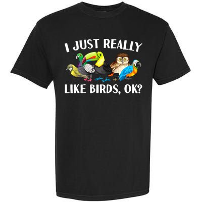 Cool Bird Lover Bird Watcher Nerd Parrot Birds Garment-Dyed Heavyweight T-Shirt