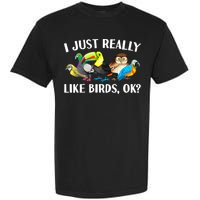 Cool Bird Lover Bird Watcher Nerd Parrot Birds Garment-Dyed Heavyweight T-Shirt