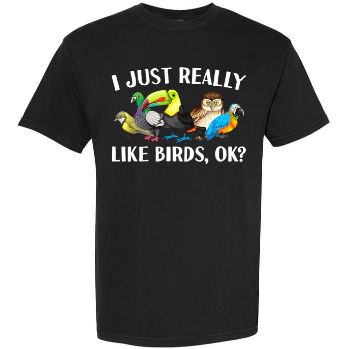 Cool Bird Lover Bird Watcher Nerd Parrot Birds Garment-Dyed Heavyweight T-Shirt