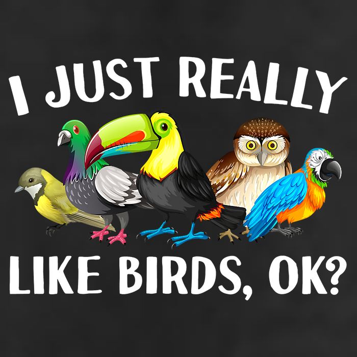 Cool Bird Lover Bird Watcher Nerd Parrot Birds Garment-Dyed Heavyweight T-Shirt