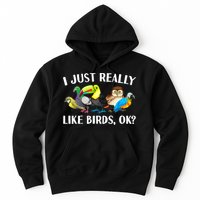 Cool Bird Lover Bird Watcher Nerd Parrot Birds Hoodie