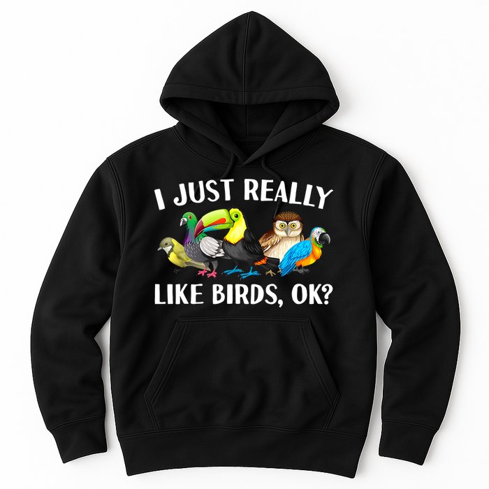 Cool Bird Lover Bird Watcher Nerd Parrot Birds Hoodie