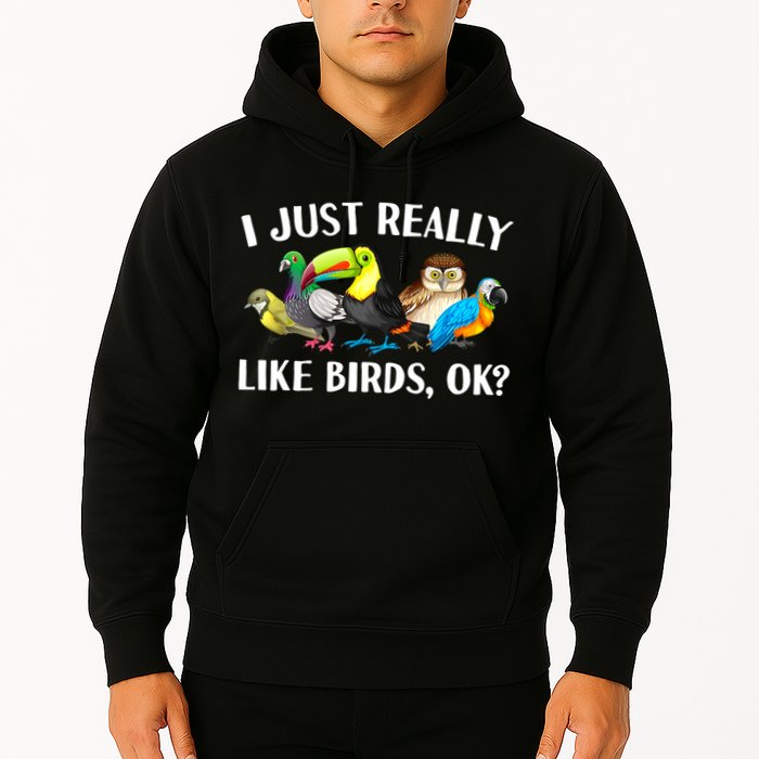 Cool Bird Lover Bird Watcher Nerd Parrot Birds Hoodie